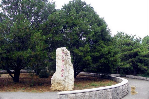 十三陵水庫旅游攻略_十三陵水庫庫容是多少_水庫十三陵水庫