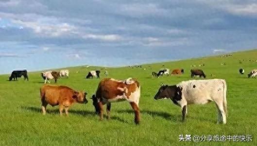 呼和浩特市區(qū)一日游攻略_呼和浩特出發(fā)的三日游_呼和浩特三日游