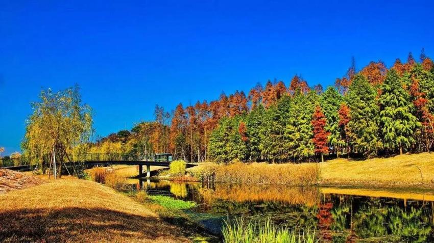 融創(chuàng)公館房?jī)r(jià)_融創(chuàng)公館樓盤_融創(chuàng)公館系列定位