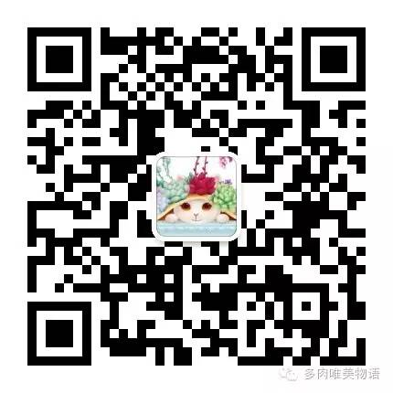 多肉如何移盆種植_多肉的移盆_盆栽多肉移植