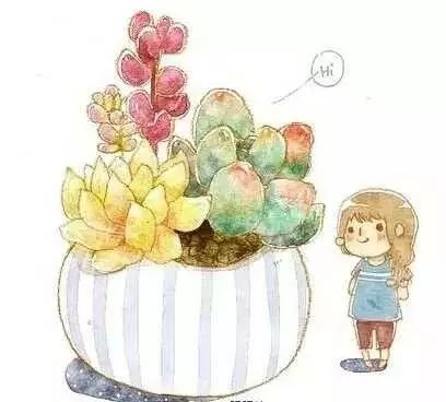 盆栽多肉移植_多肉如何移盆種植_多肉的移盆