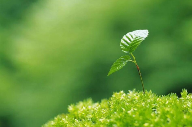 自駕去長白山旅游攻略_自駕長白山攻略旅游去哪里好_自駕長白山路線