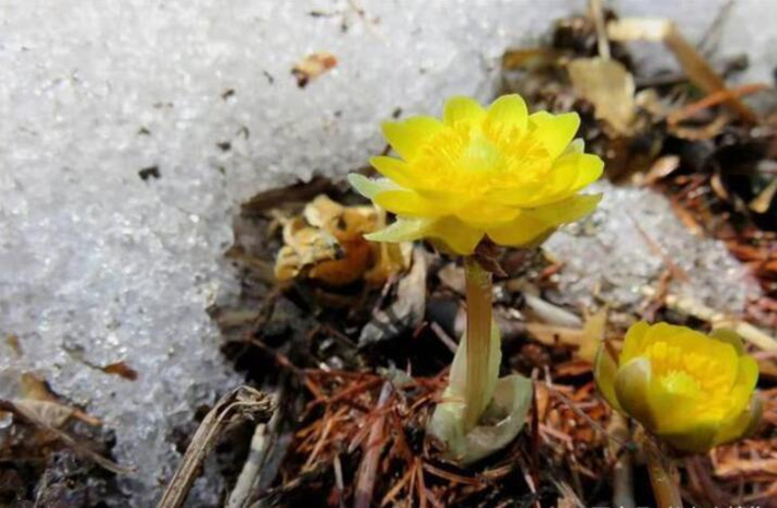 自駕長白山路線_自駕長白山攻略旅游去哪里好_自駕去長白山旅游攻略