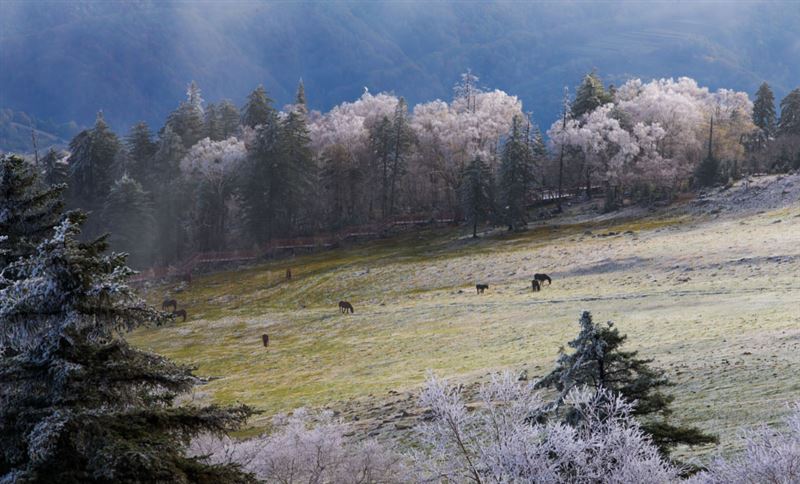 自駕長白山攻略旅游去哪里好_自駕去長白山旅游攻略_自駕長白山路線
