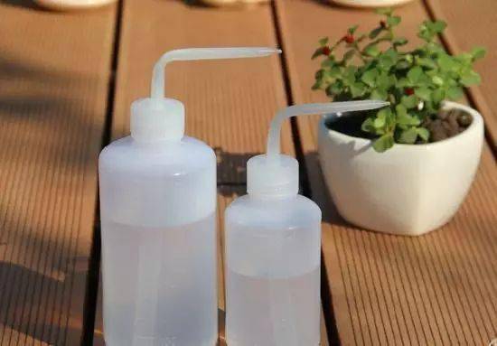 多肉黃麗的養(yǎng)殖方法和注意事項(xiàng)_如何養(yǎng)黃麗多肉_多肉黃麗怎么養(yǎng)成老樁