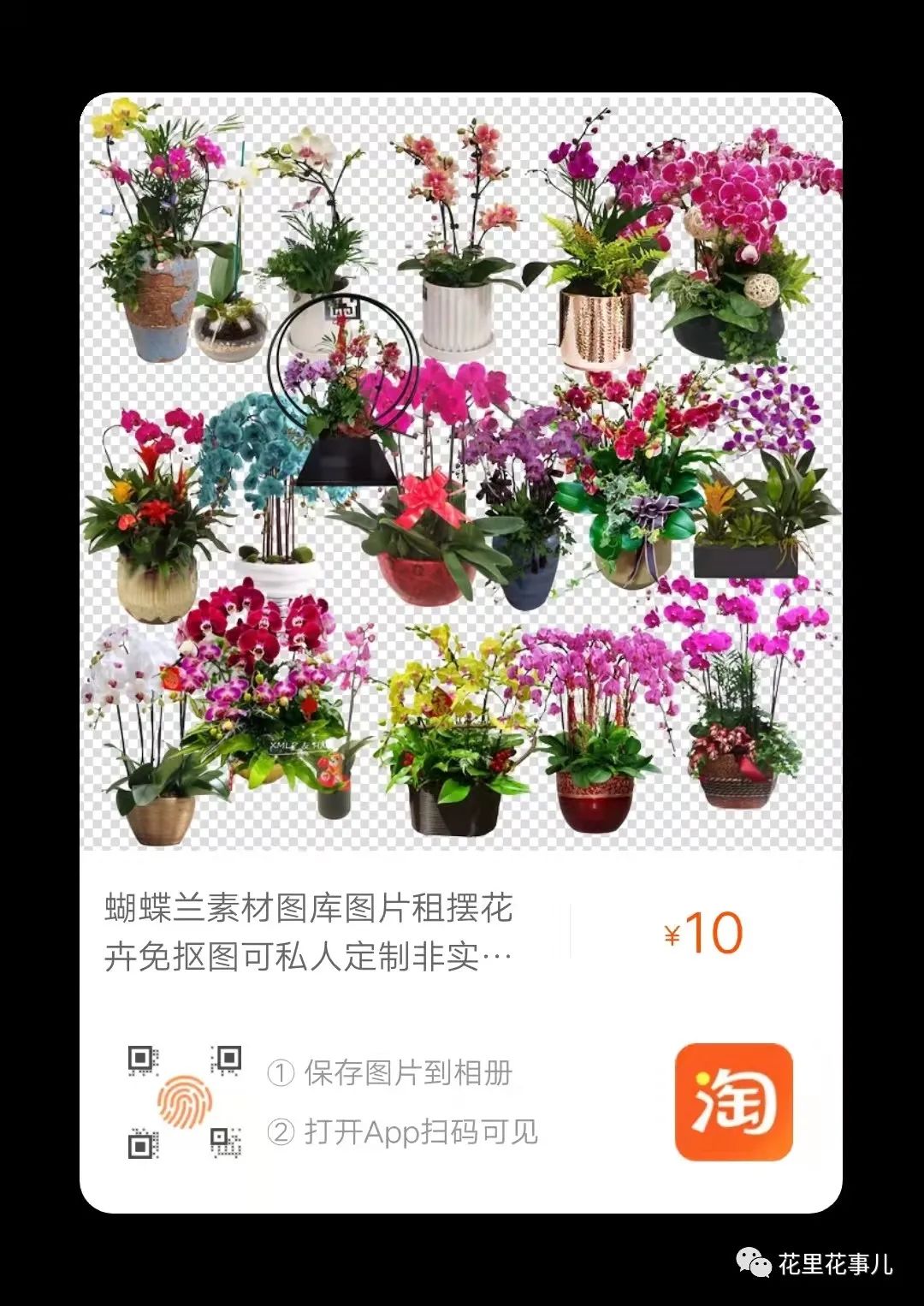 多肉形狀有哪些_多肉形態(tài)特征是什么_多肉的形狀