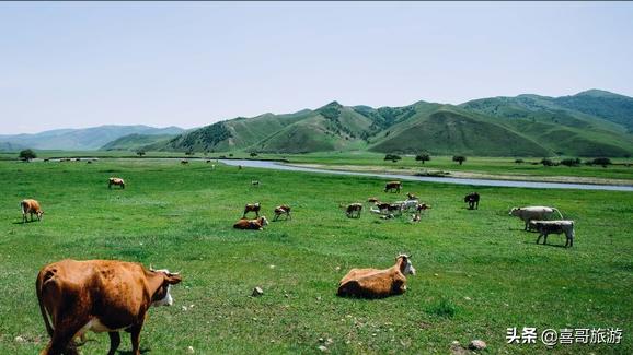 阿爾山離烏蘭浩特多遠(yuǎn)_烏蘭浩特到阿爾山自駕游攻略_烏蘭浩特到阿爾山中間風(fēng)景