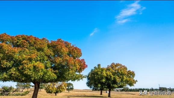 烏蘭浩特到阿爾山中間風(fēng)景_烏蘭浩特到阿爾山自駕游攻略_阿爾山離烏蘭浩特多遠(yuǎn)
