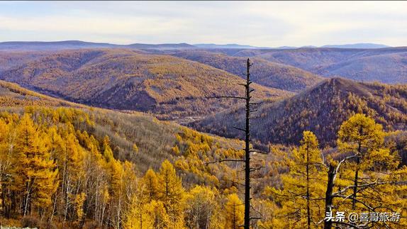 烏蘭浩特到阿爾山自駕游攻略_阿爾山離烏蘭浩特多遠(yuǎn)_烏蘭浩特到阿爾山中間風(fēng)景