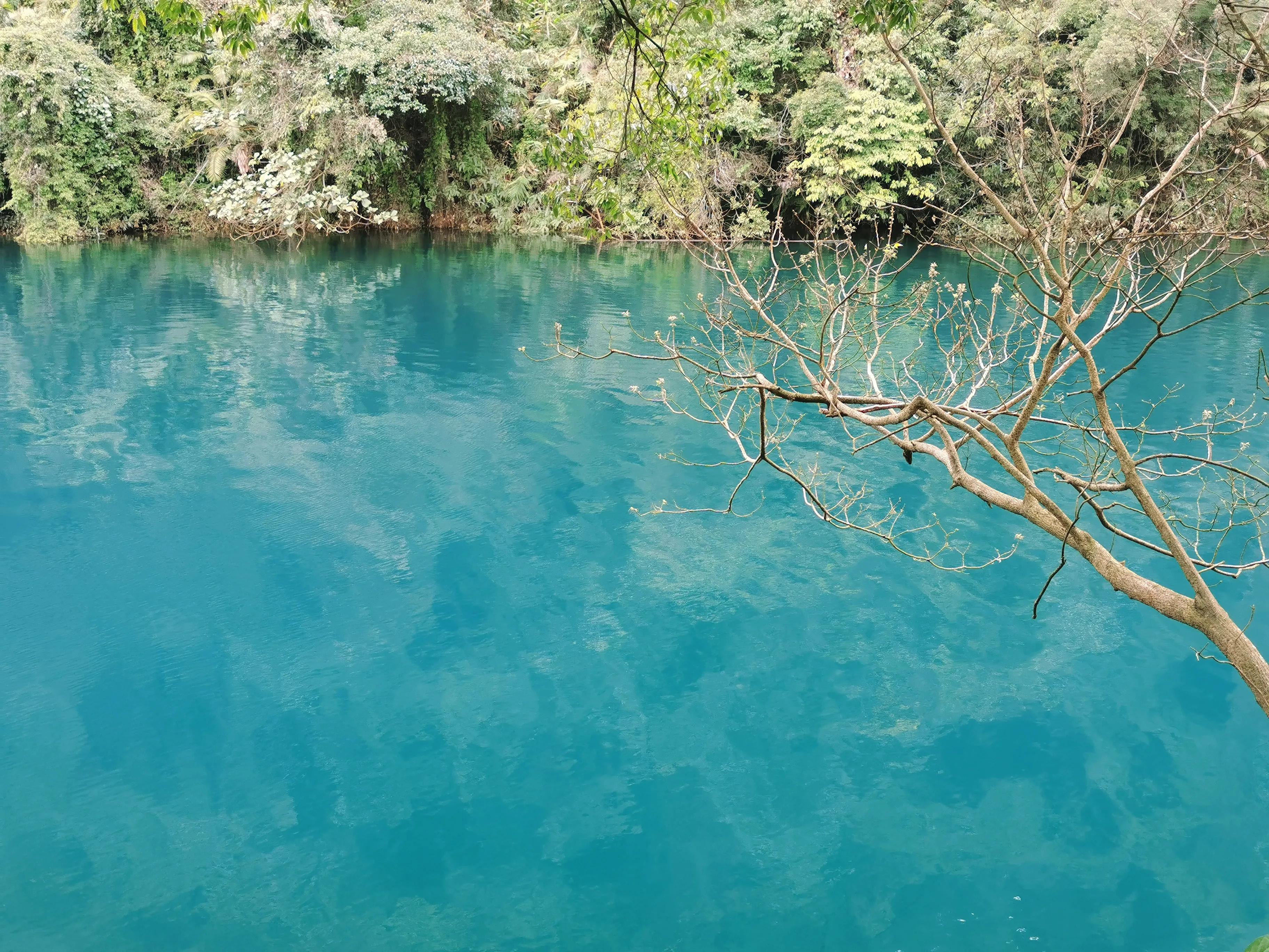 肇慶七星巖鼎湖山一日游攻略_鼎湖山七星巖一日游攻略_肇慶七星巖鼎湖山兩日游自由行