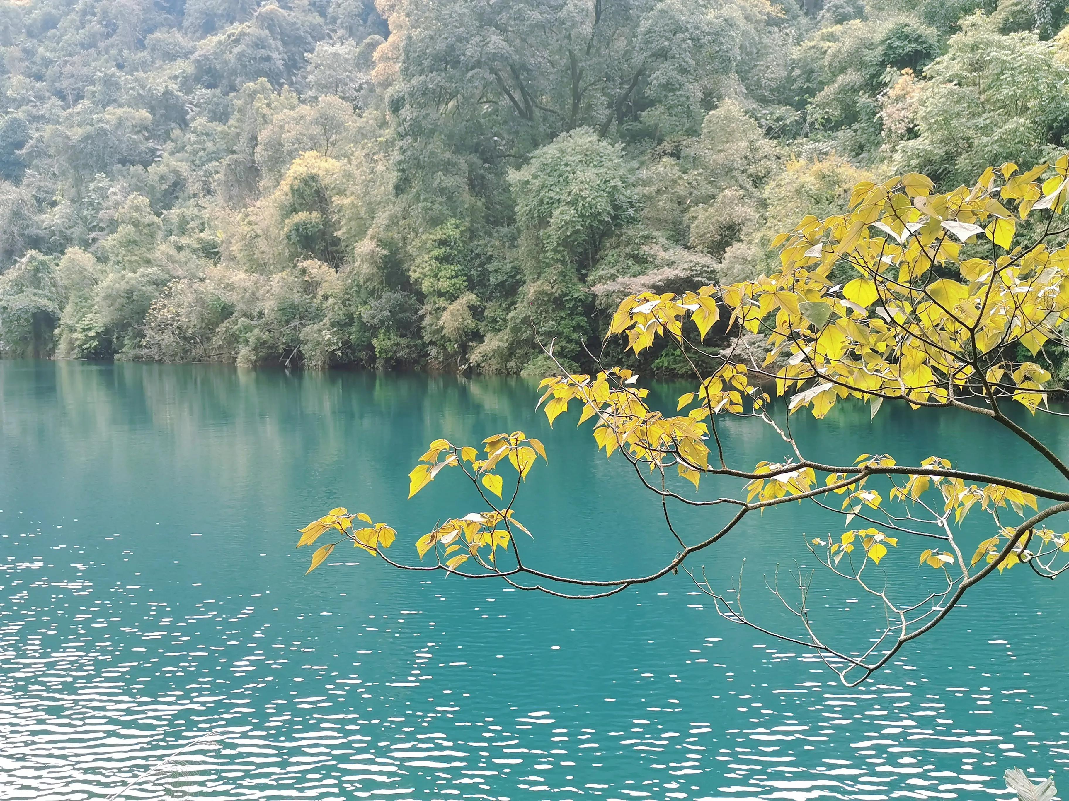 鼎湖山七星巖一日游攻略_肇慶七星巖鼎湖山兩日游自由行_肇慶七星巖鼎湖山一日游攻略