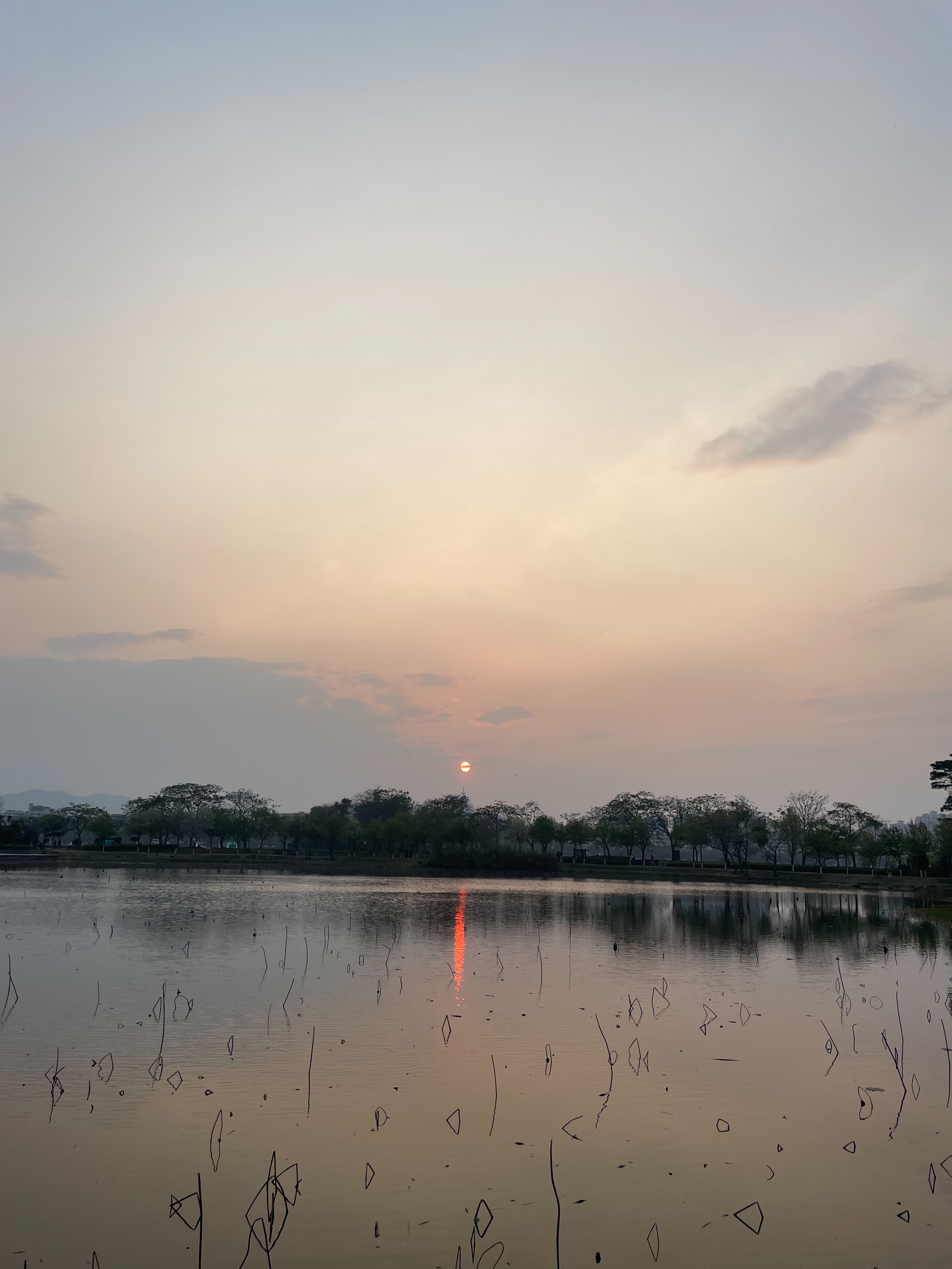 肇慶七星巖鼎湖山兩日游自由行_肇慶七星巖鼎湖山一日游攻略_鼎湖山七星巖一日游攻略