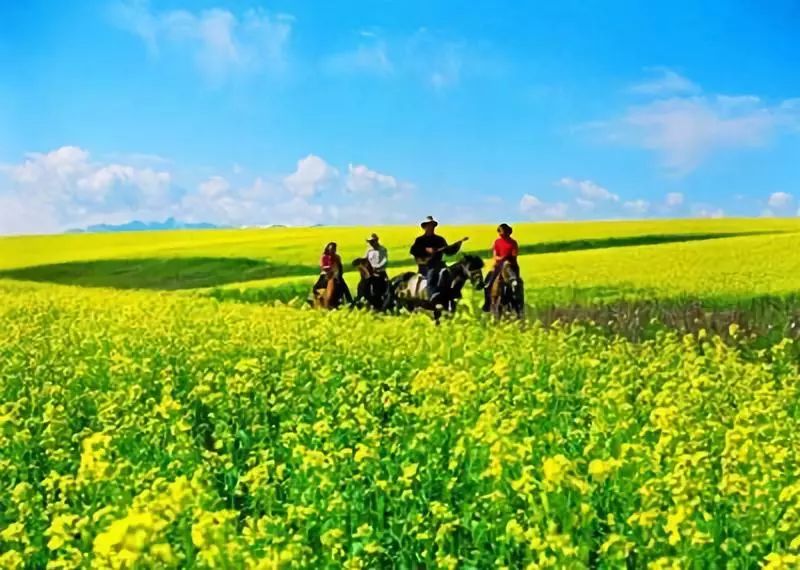 大連到阿爾山自駕游攻略_大連自駕到阿爾山旅游攻略_大連到阿爾山中途的休息