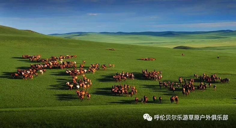 大連到阿爾山中途的休息_大連自駕到阿爾山旅游攻略_大連到阿爾山自駕游攻略