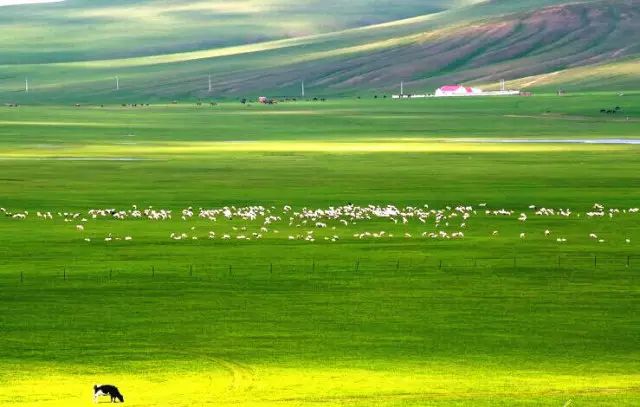 大連到阿爾山自駕游攻略_大連到阿爾山中途的休息_大連自駕到阿爾山旅游攻略