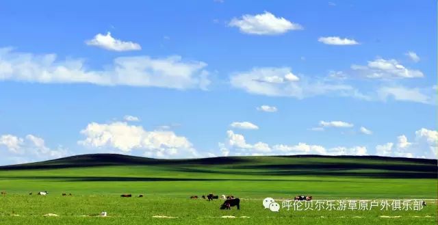 大連到阿爾山中途的休息_大連自駕到阿爾山旅游攻略_大連到阿爾山自駕游攻略