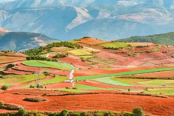 青島詳細攻略_青島深度游攻略_青島全攻略