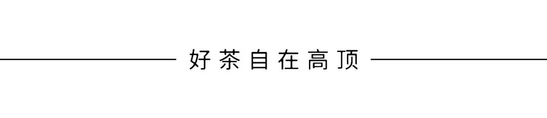 樹葉黃金耳環(huán)圖片_樹葉黃金分割_黃金樹葉