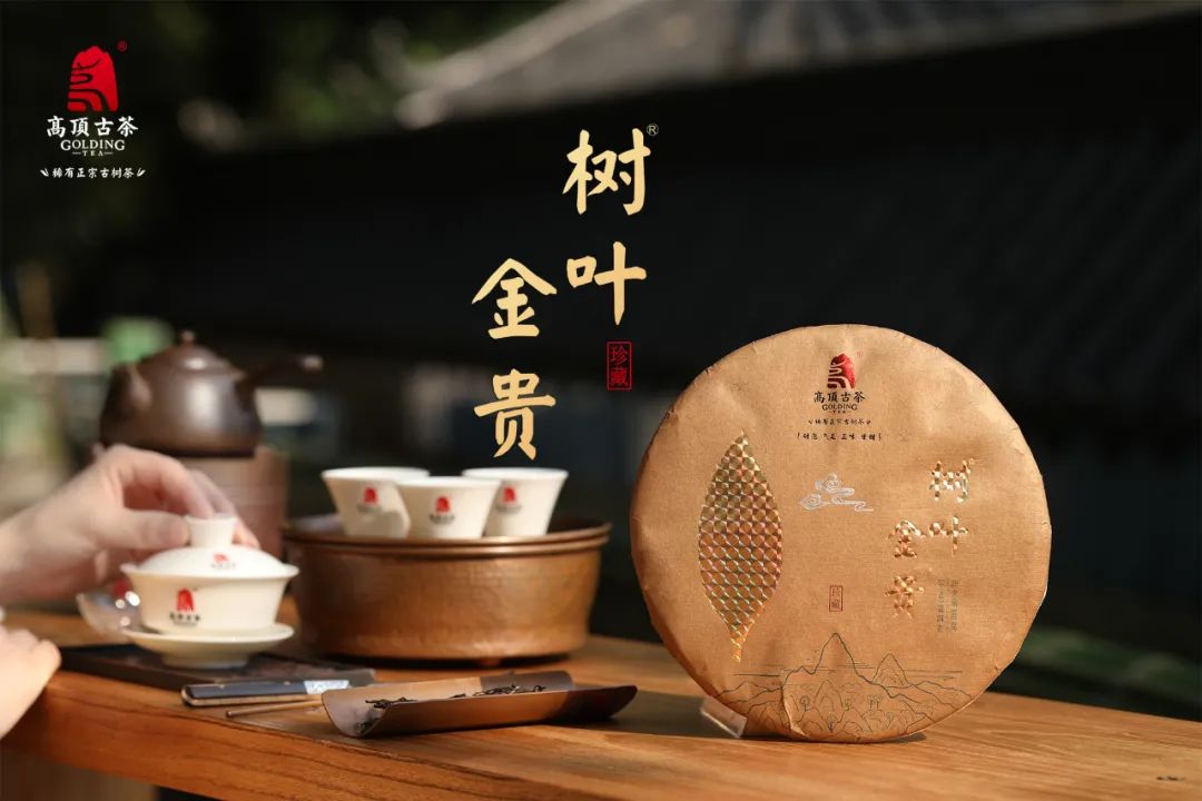 樹葉黃金耳環(huán)圖片_樹葉黃金分割_黃金樹葉