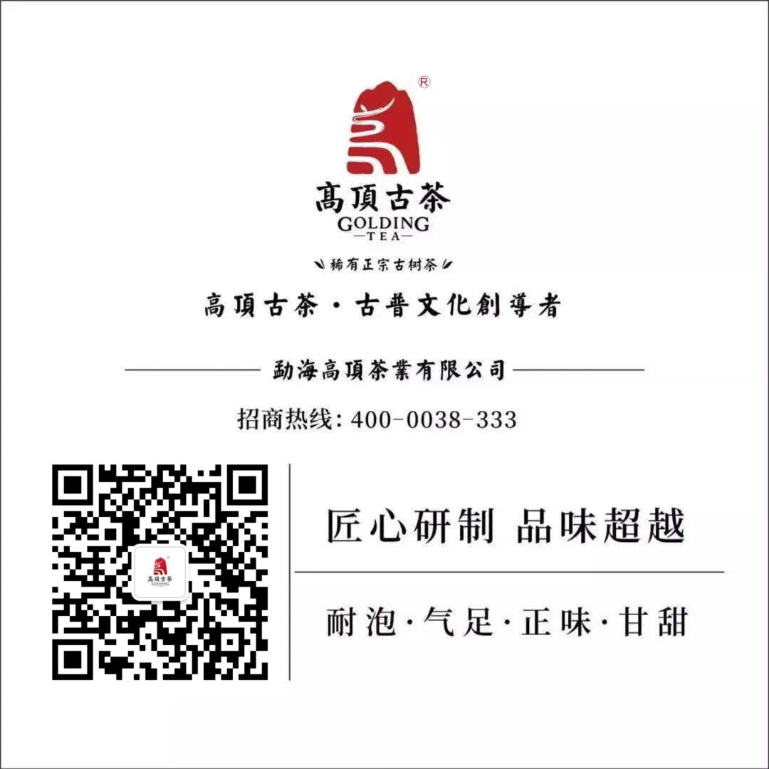 黃金樹葉_樹葉黃金分割_樹葉黃金耳環(huán)圖片