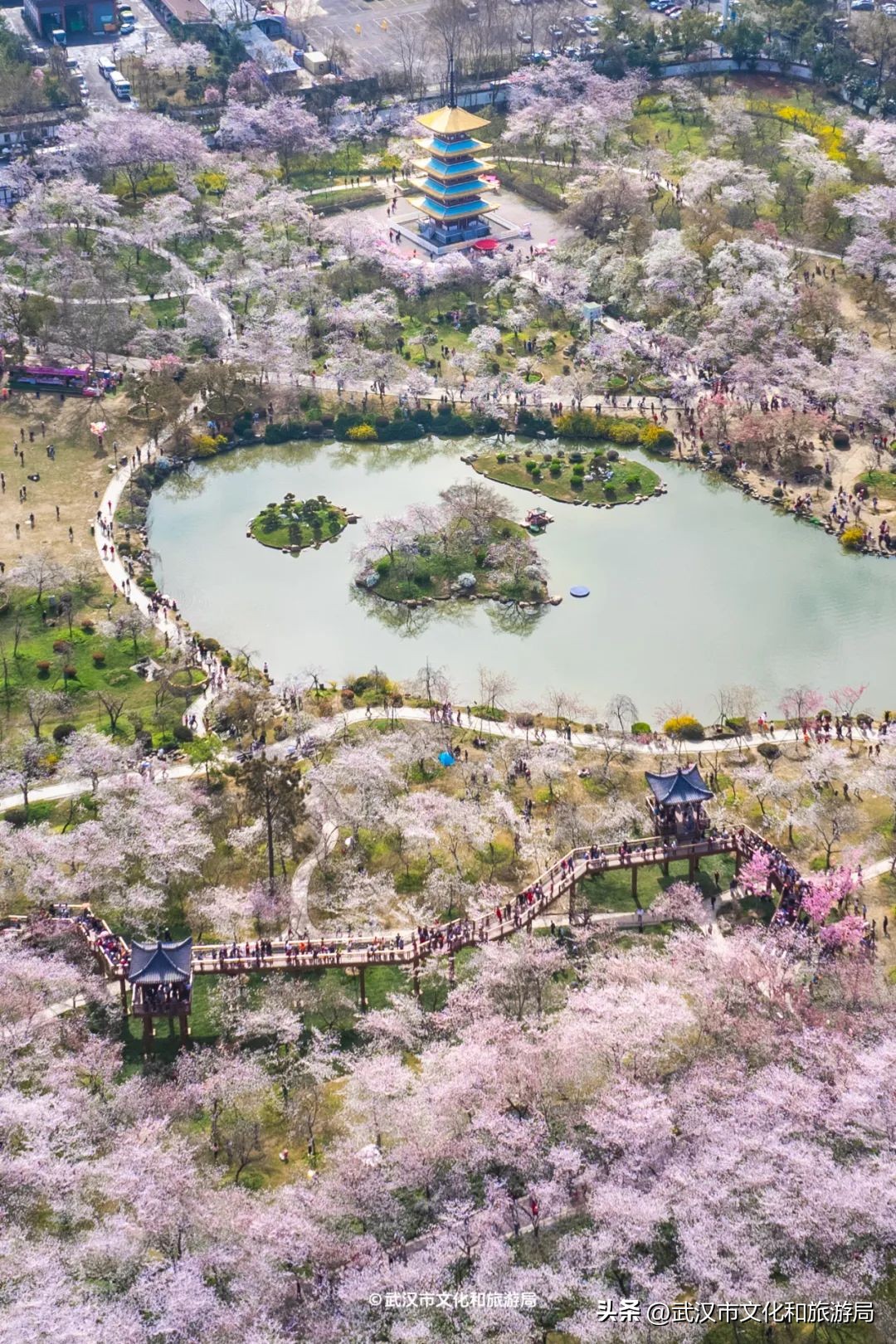 武漢馬拉松東湖綠道封閉_東湖生態(tài)旅游風(fēng)景區(qū)游玩攻略_東湖櫻花園賞花時(shí)間
