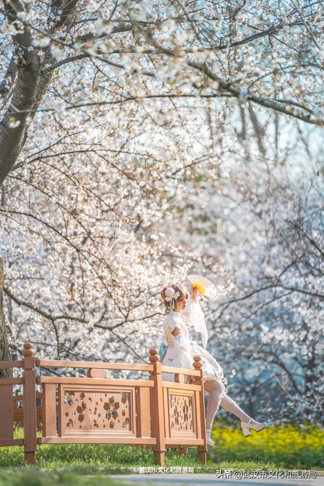 東湖櫻花園賞花時(shí)間_東湖生態(tài)旅游風(fēng)景區(qū)游玩攻略_武漢馬拉松東湖綠道封閉