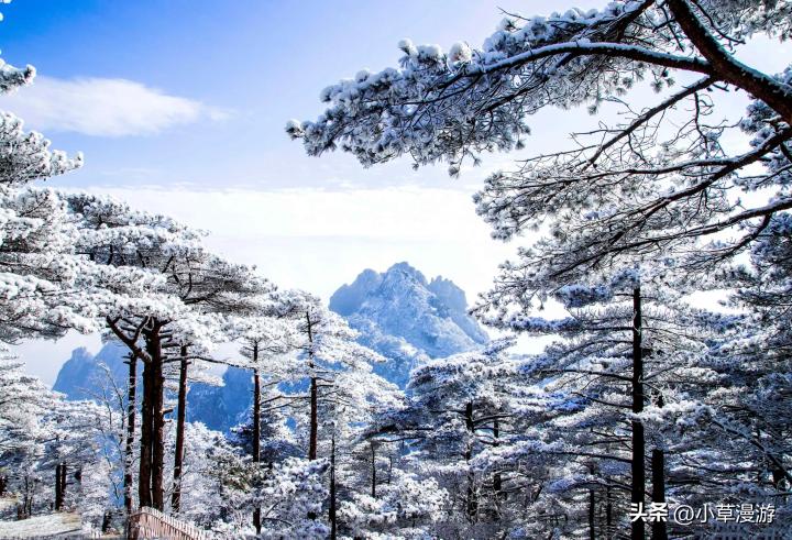 西雙版納熱帶風(fēng)情旅行_海南島冬季旅游_一年四季全球旅游攻略!