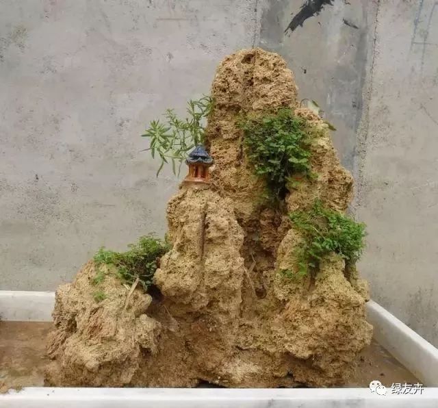 多肉植物配土方案_多肉植物土壤種類_多肉用土配比方法