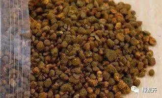 多肉植物配土方案_多肉植物土壤種類_多肉用土配比方法