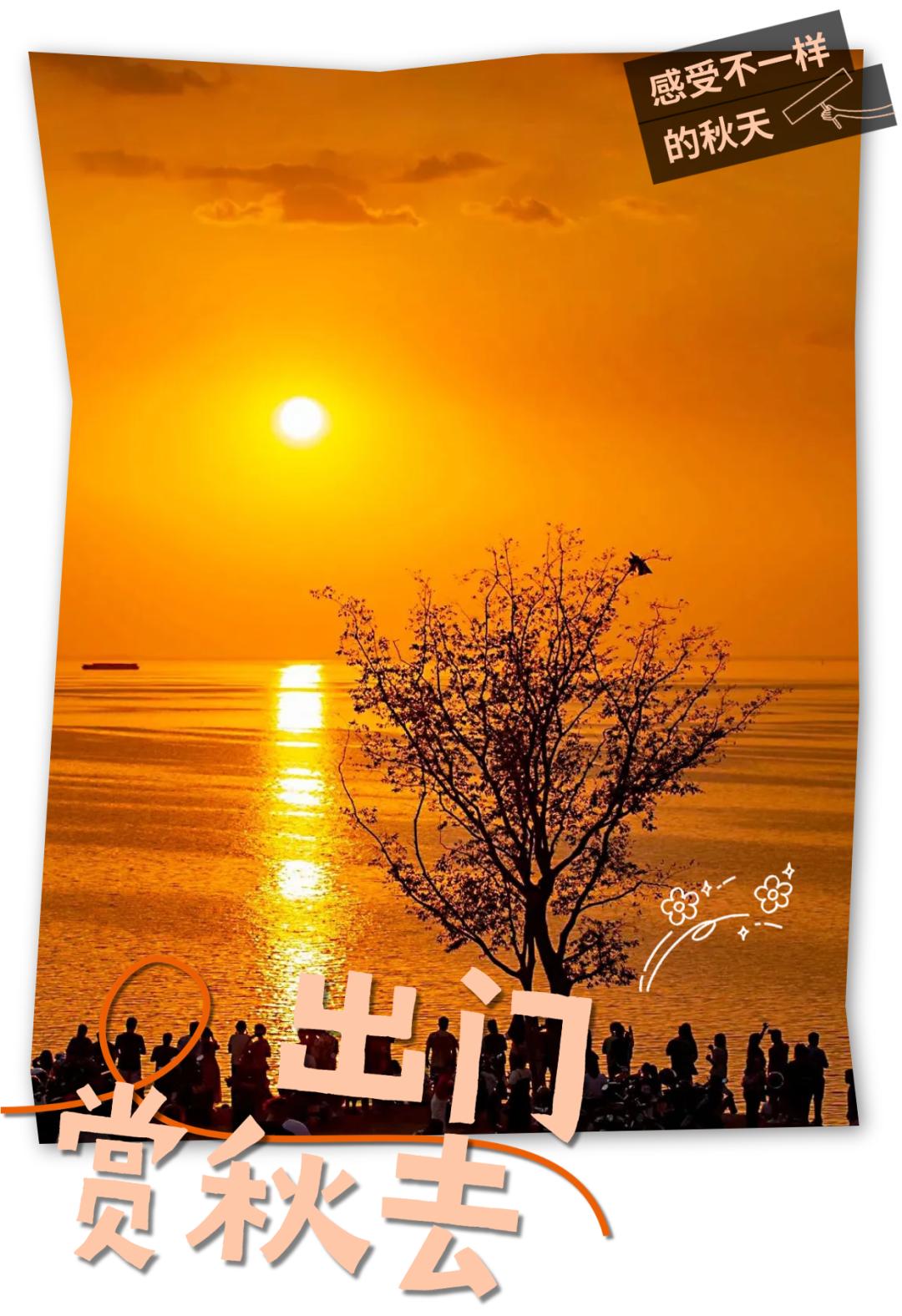 岳西游玩攻略_安徽秋天賞秋攻略_安徽秋色景點推薦