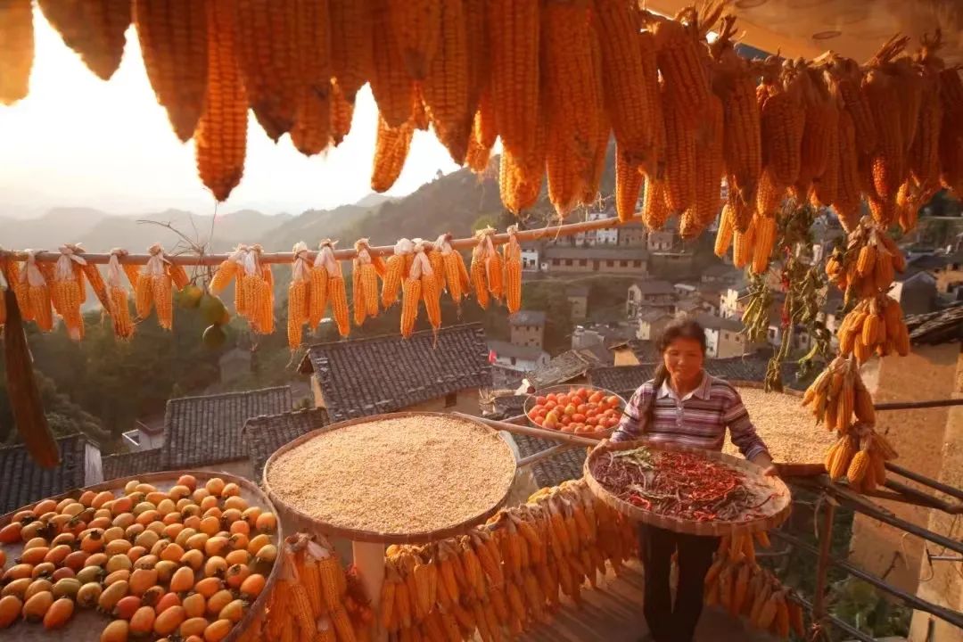 岳西游玩攻略_安徽秋天賞秋攻略_安徽秋色景點推薦