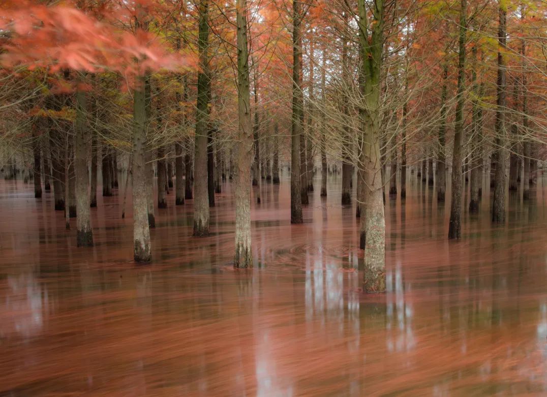 安徽秋天賞秋攻略_岳西游玩攻略_安徽秋色景點推薦