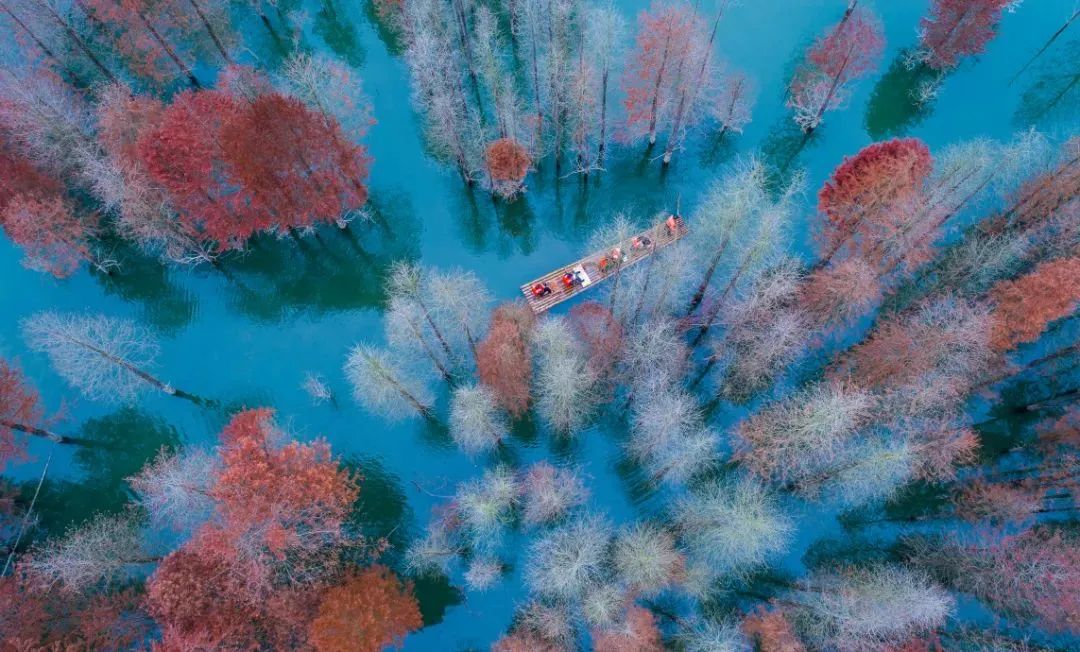 岳西游玩攻略_安徽秋天賞秋攻略_安徽秋色景點推薦