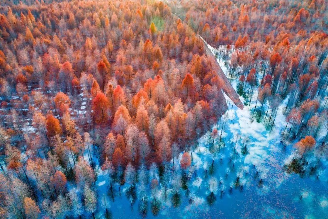 安徽秋天賞秋攻略_安徽秋色景點推薦_岳西游玩攻略