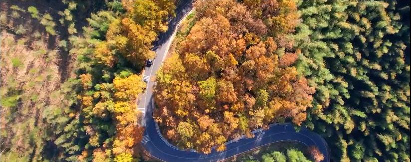 安徽秋天賞秋攻略_岳西游玩攻略_安徽秋色景點推薦