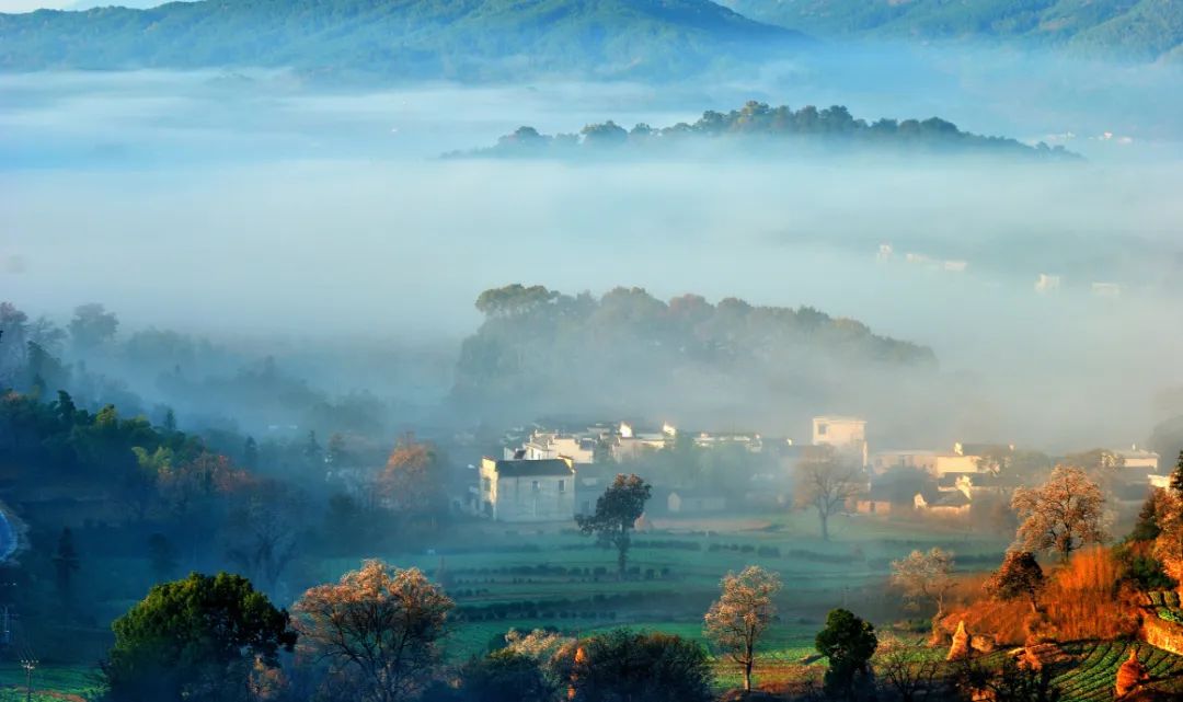 安徽秋色景點推薦_安徽秋天賞秋攻略_岳西游玩攻略