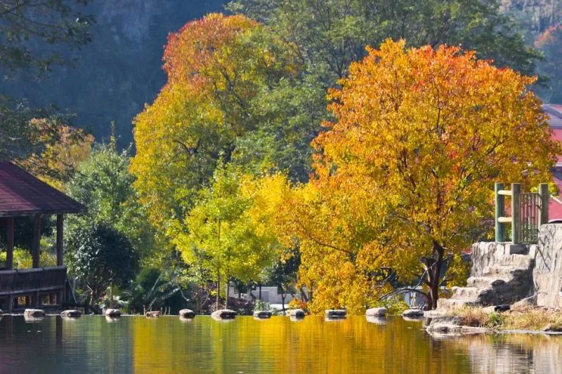 安徽秋天賞秋攻略_安徽秋色景點推薦_岳西游玩攻略