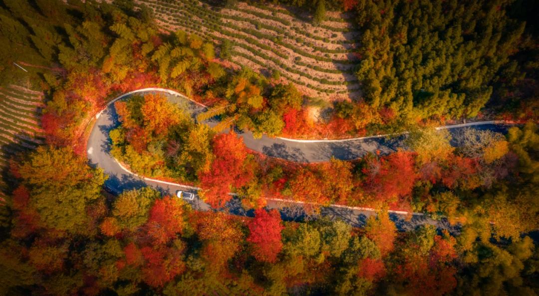 安徽秋天賞秋攻略_岳西游玩攻略_安徽秋色景點推薦