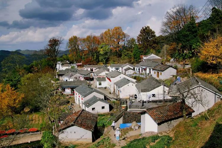 安徽秋色景點推薦_岳西游玩攻略_安徽秋天賞秋攻略