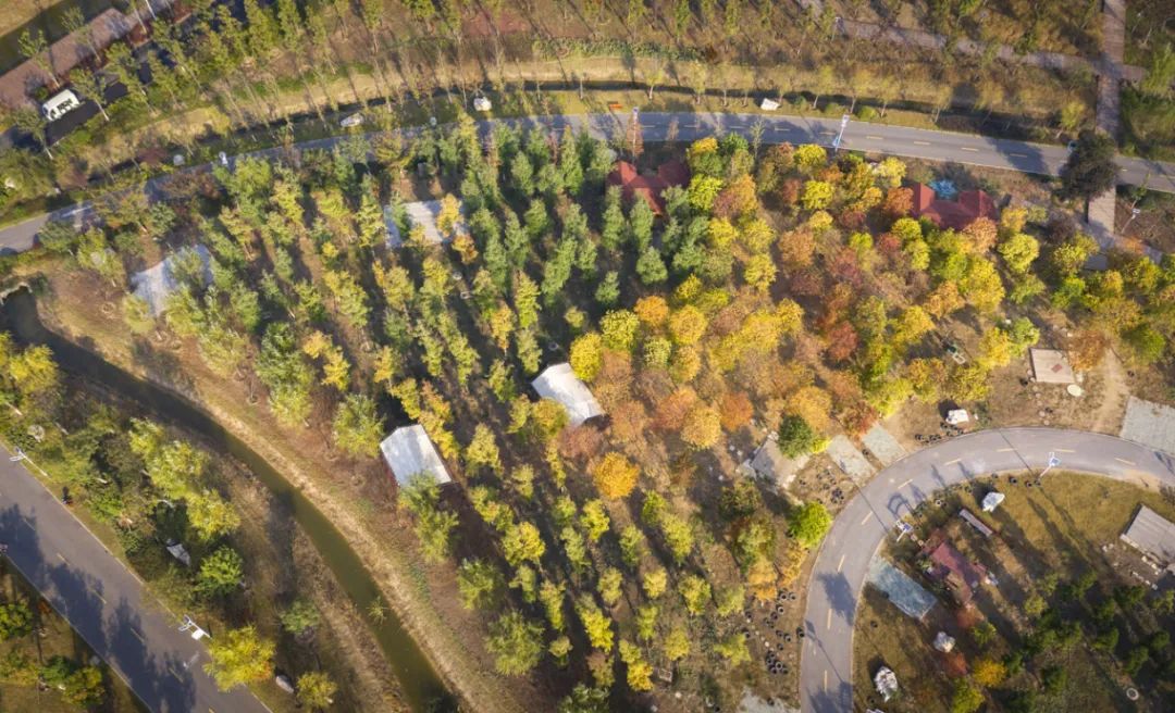 岳西游玩攻略_安徽秋天賞秋攻略_安徽秋色景點推薦