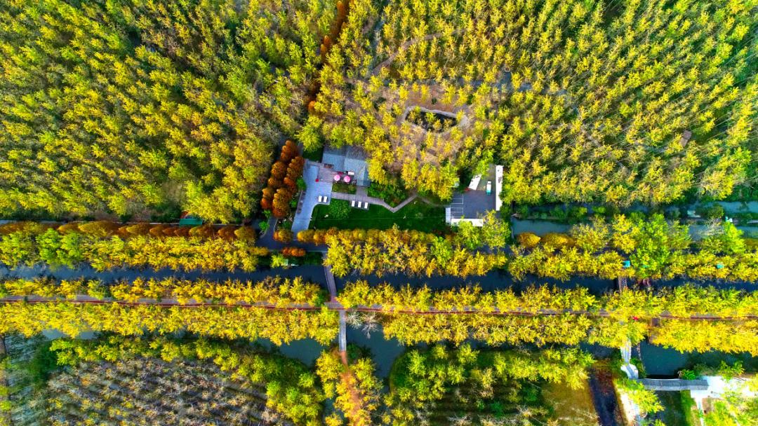 安徽秋色景點推薦_岳西游玩攻略_安徽秋天賞秋攻略