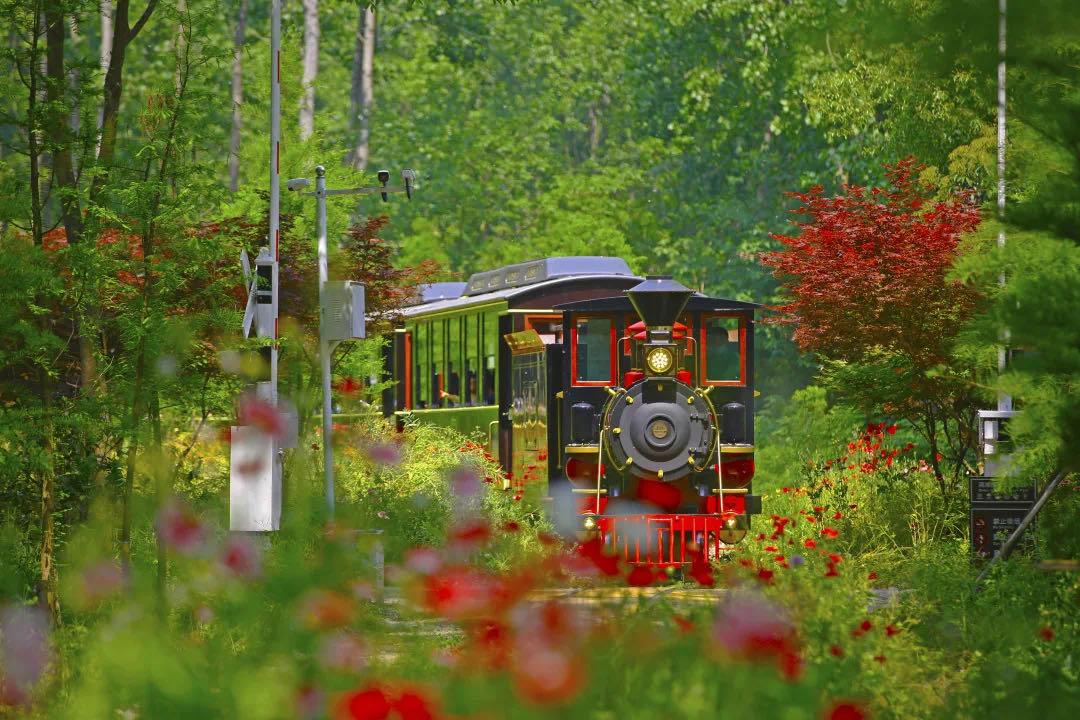 岳西游玩攻略_安徽秋天賞秋攻略_安徽秋色景點推薦