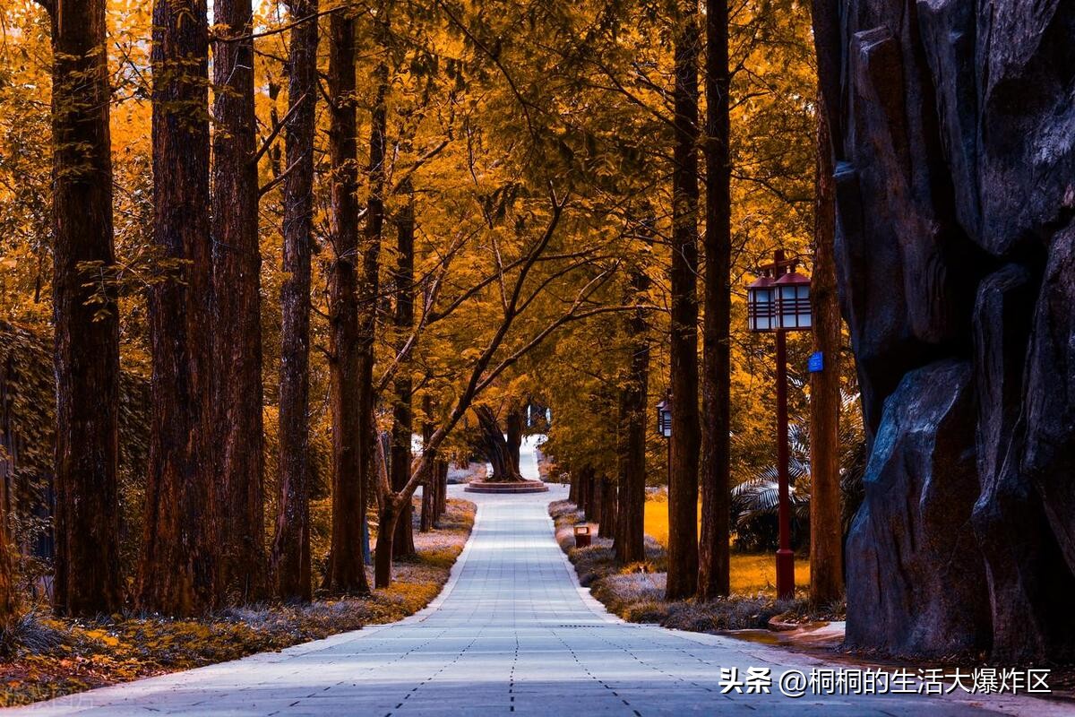 福州兩日游最佳路線_福建博物館西湖公園三坊七巷_福州旅游攻略自由行