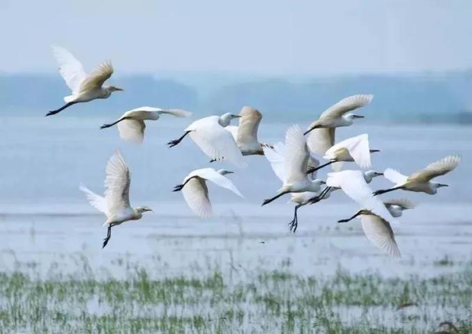 三角洲島旅游攻略_惠州海島旅游_惠州鹽洲島游玩攻略